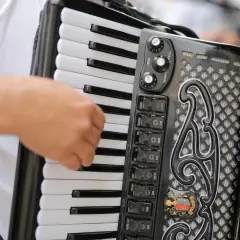 Main d'un musicien jouant sur un accordéon noir, avec ses touches blanches et noires et ses boutons de registres.
