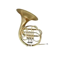 Un magnifique cor d'harmonie en laiton, un gros cor instrument, prêt à résonner de ses notes profondes.