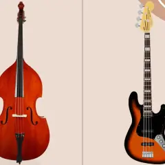 Contrebasse acoustique et basse électrique, deux instruments à cordes pour des sons graves.