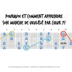 Diagramme du manche de ukulélé montrant les notes, avec des lignes pointillées reliant des notes spécifiques. Apprendre ces notes de ukulélé par cœur est essentiel.