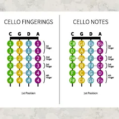 Diagrammes de doigtés et de notes pour le violoncelle, montrant les positions des doigts et les notes correspondantes pour chaque corde.