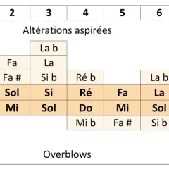 Tableau des notes d'une harmonica, montrant les notes aspirées, soufflées et supplémentaires.