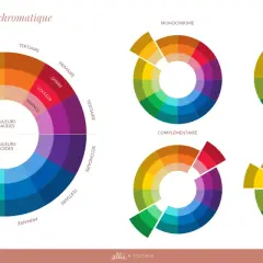 Le cercle chromatique illustre la **gamme par ton** des couleurs chaudes et froides, ainsi que des schémas de couleurs monochromes, analogues et complémentaires.
