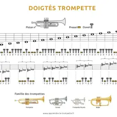 Guide des doigtés pour la trompette, montrant les notes et les combinaisons de pistons pour jouer.