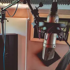 Microphone studio avec directivité cardioïde, prêt pour l'enregistrement d'une voix ou d'un instrument.