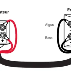 Schéma de bi-amplification : un amplificateur alimente séparément les aigus et les basses d'une enceinte.