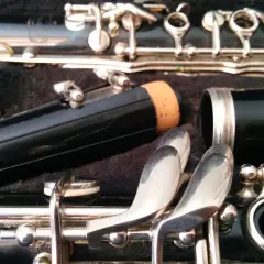 Détail d'une clarinette dans son étui, prête pour apprendre à jouer de cet instrument. Les clés argentées et le corps noir promettent de belles mélodies.