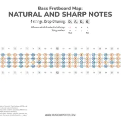 Carte du manche de basse montrant les notes naturelles et dièses. Idéal pour apprendre les notes basse.