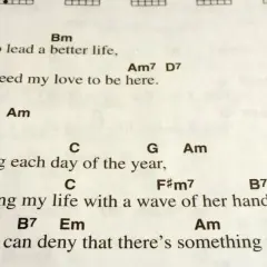 Partition de chanson avec accords, dont la gamme mi majeur, pour "To lead a better life".