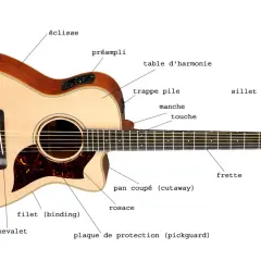 Guitare acoustique avec étiquettes identifiant ses parties : chevalet, table d'harmonie, manche, etc. Idéal pour la prise de son guitare acoustique.