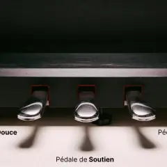 Les pédales piano : douce, de soutien et forte. Trois leviers chromés pour moduler le son.