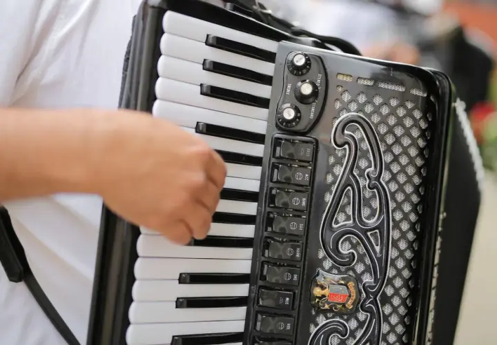 Main d'un musicien jouant sur un accordéon noir, avec ses touches blanches et noires et ses boutons de registres.
