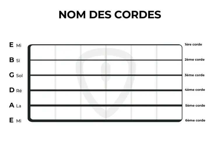 Tableau des noms des cordes de guitare : Mi, Si, Sol, Ré, La, Mi. Idéal pour apprendre le manche basse.