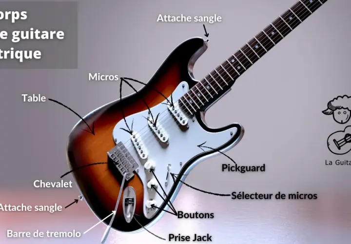Les micros captent les vibrations des cordes sur la table, expliquant comment fonctionne une guitare électrique. Le son est ensuite traité par les boutons et le sélecteur.