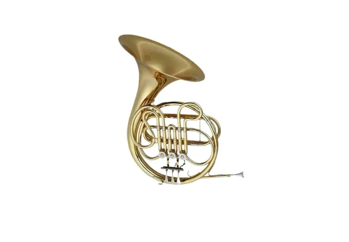 Un magnifique cor d'harmonie en laiton, un gros cor instrument, prêt à résonner de ses notes profondes.