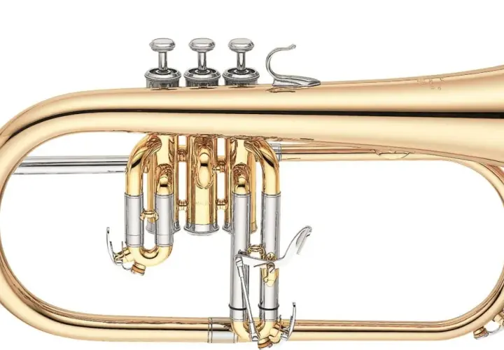 Un magnifique cornet à pistons doré, un instrument de musique de la famille trompette, prêt à jouer une mélodie entraînante.