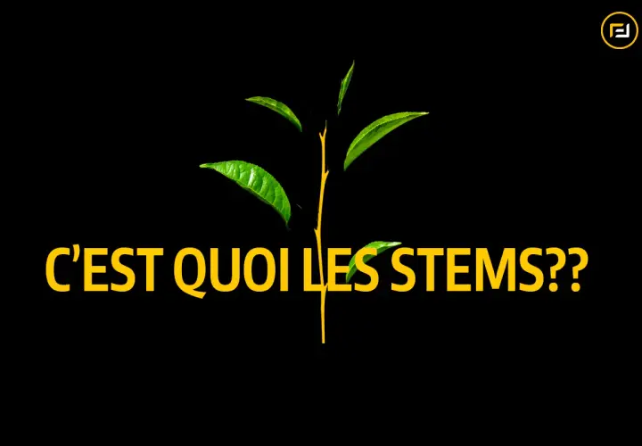 Une jeune pousse verte aux feuilles éclatantes, avec le texte "C'EST QUOI LES STEMS??". Le sens des tiges est exploré.