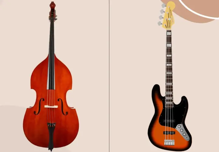 Contrebasse acoustique et basse électrique, deux instruments à cordes pour des sons graves.