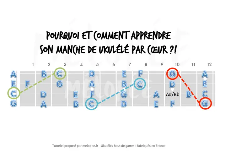 Diagramme du manche de ukulélé montrant les notes, avec des lignes pointillées reliant des notes spécifiques. Apprendre ces notes de ukulélé par cœur est essentiel.