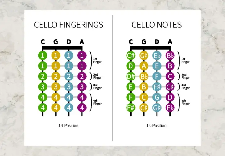 Diagrammes de doigtés et de notes pour le violoncelle, montrant les positions des doigts et les notes correspondantes pour chaque corde.