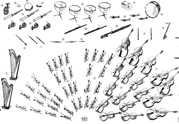 Disposition d'un orchestre symphonique : cordes, bois, cuivres, percussions et harpes.
