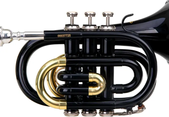 Un petit cornet noir brillant, un type de trompette compact, avec des accents dorés et un embout argenté.