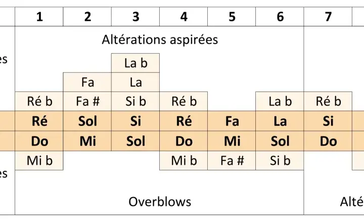 Tableau des notes d'une harmonica, montrant les notes aspirées, soufflées et supplémentaires.