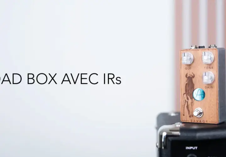 Pédale de guitare LOAD BOX AVEC IRs, en bois, avec un taureau gravé et des potards pour le son.
