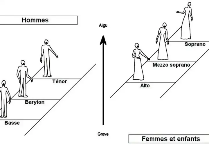 Schéma des tessitures vocales pour la polyphonie musique : hommes (basse, baryton, ténor) et femmes/enfants (alto, mezzo soprano, soprano), du grave à l'aigu.