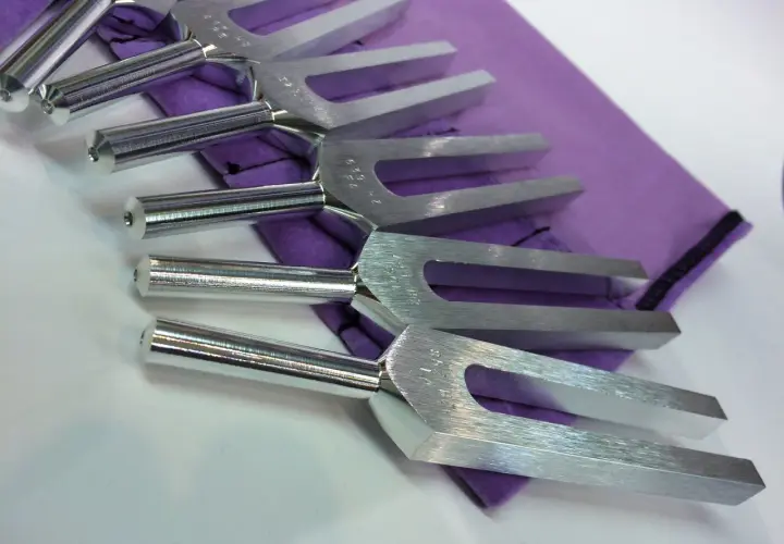 Un ensemble de diapasons en métal argenté repose sur un tissu violet. Ces outils de musique sont prêts à produire des sons purs.