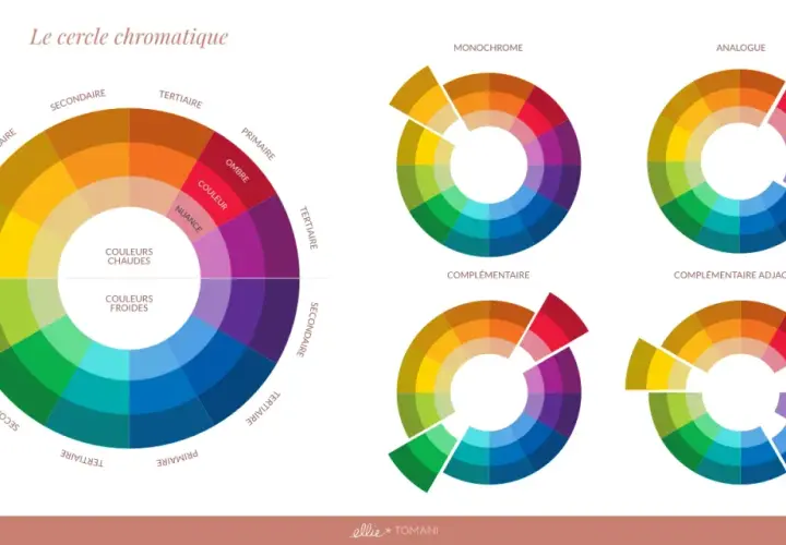 Le cercle chromatique illustre la **gamme par ton** des couleurs chaudes et froides, ainsi que des schémas de couleurs monochromes, analogues et complémentaires.