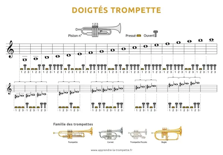 Guide des doigtés pour la trompette, montrant les notes et les combinaisons de pistons pour jouer.