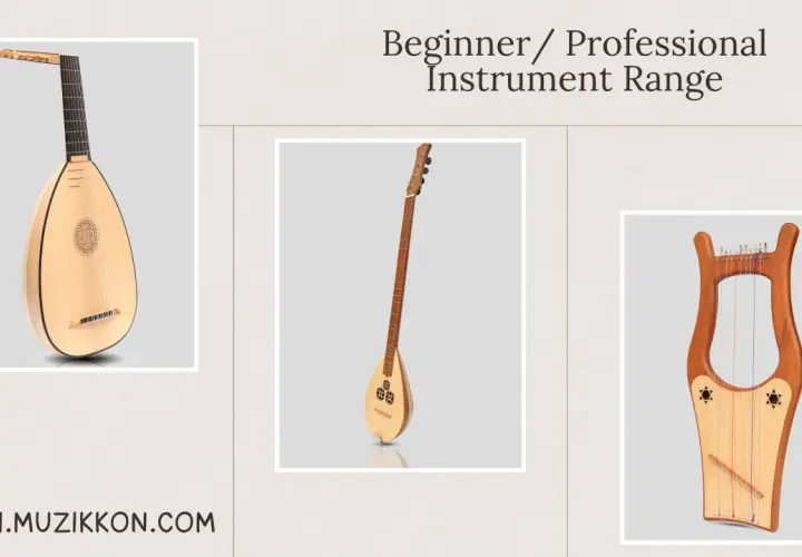 Luth, saz et lyre, trois magnifiques instruments à cordes pour tous les musiciens.