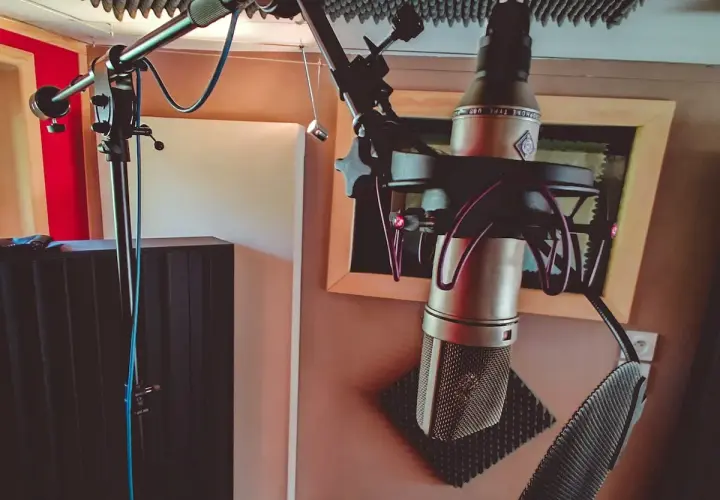 Microphone studio avec directivité cardioïde, prêt pour l'enregistrement d'une voix ou d'un instrument.