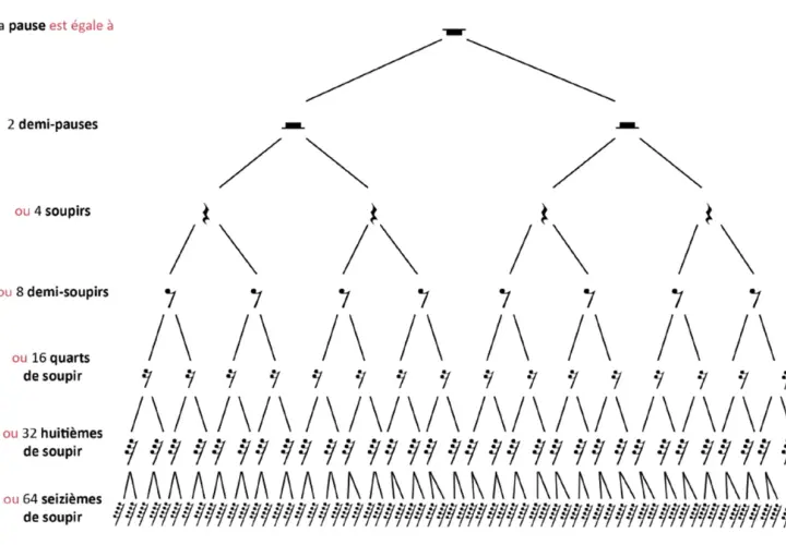 Arbre de valeurs musicales montrant qu'une pause entière équivaut à 2 demi-pauses, 4 soupirs, 8 demi-soupirs, 16 quarts de soupir, 32 huitièmes de soupir, ou 64 seizièmes de soupir.