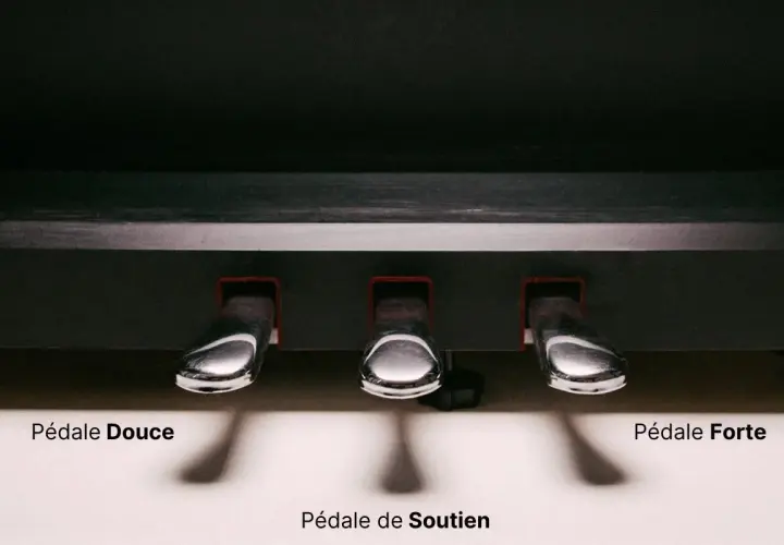 Les pédales piano : douce, de soutien et forte. Trois leviers chromés pour moduler le son.