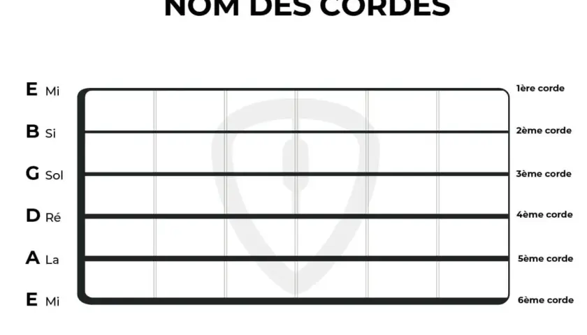 Tableau des noms des cordes de guitare : Mi, Si, Sol, Ré, La, Mi. Idéal pour apprendre le manche basse.