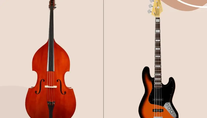 Contrebasse acoustique et basse électrique, deux instruments à cordes pour des sons graves.