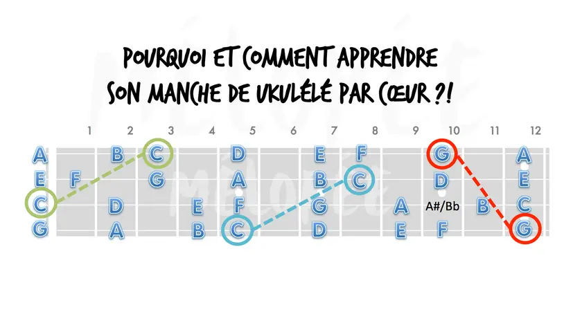 Diagramme du manche de ukulélé montrant les notes, avec des lignes pointillées reliant des notes spécifiques. Apprendre ces notes de ukulélé par cœur est essentiel.