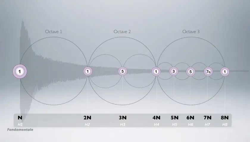 Visualisation des harmoniques de la musique, montrant la fondamentale et ses octaves successives.