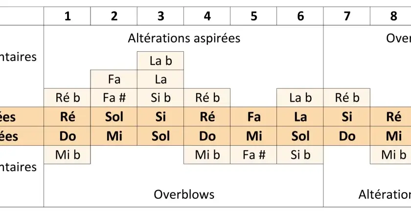 Tableau des notes d'une harmonica, montrant les notes aspirées, soufflées et supplémentaires.