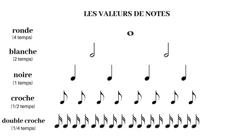 Les valeurs de notes musicales : ronde (4 temps), blanche (2 temps), noire (1 temps), croche (1/2 temps), double croche (1/4 temps). Chaque note définit le rythme.