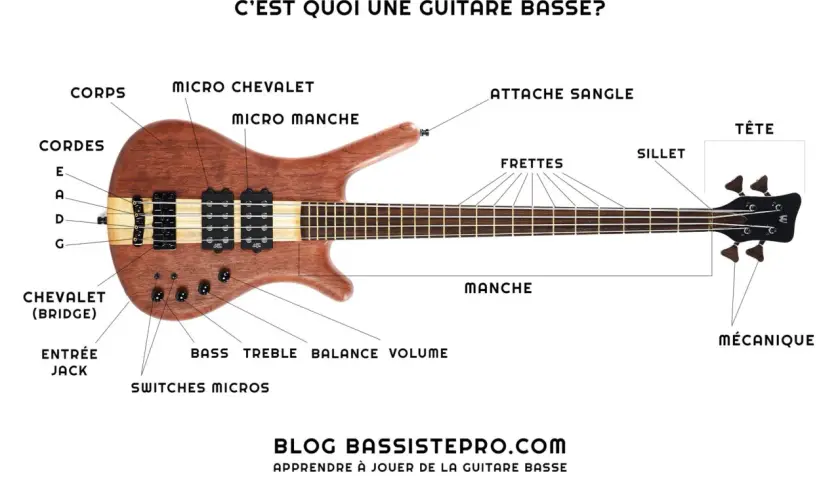 Une guitare basse en bois avec ses différentes parties étiquetées : corps, manche, tête, cordes, micros, chevalet. Idéal pour apprendre le **bass musique**.