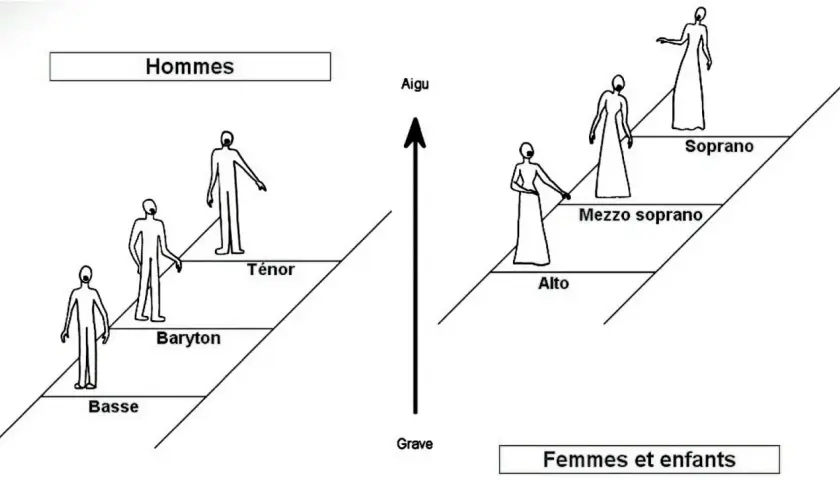 Schéma des tessitures vocales pour la polyphonie musique : hommes (basse, baryton, ténor) et femmes/enfants (alto, mezzo soprano, soprano), du grave à l'aigu.