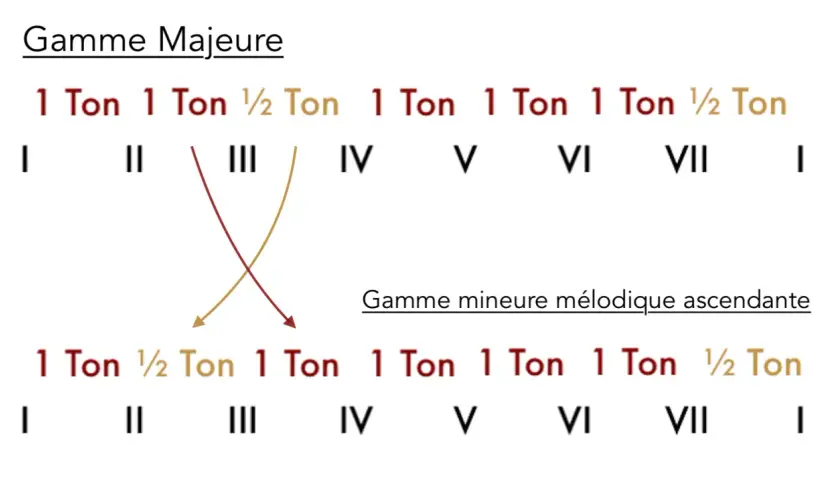 Comparaison des intervalles entre les degrés de la gamme majeure et de la gamme mineure mélodique ascendante.