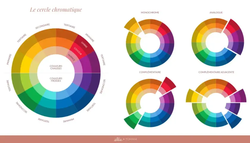 Le cercle chromatique illustre la **gamme par ton** des couleurs chaudes et froides, ainsi que des schémas de couleurs monochromes, analogues et complémentaires.