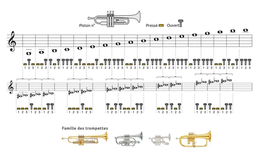 Guide des doigtés pour la trompette, montrant les notes et les combinaisons de pistons pour jouer.