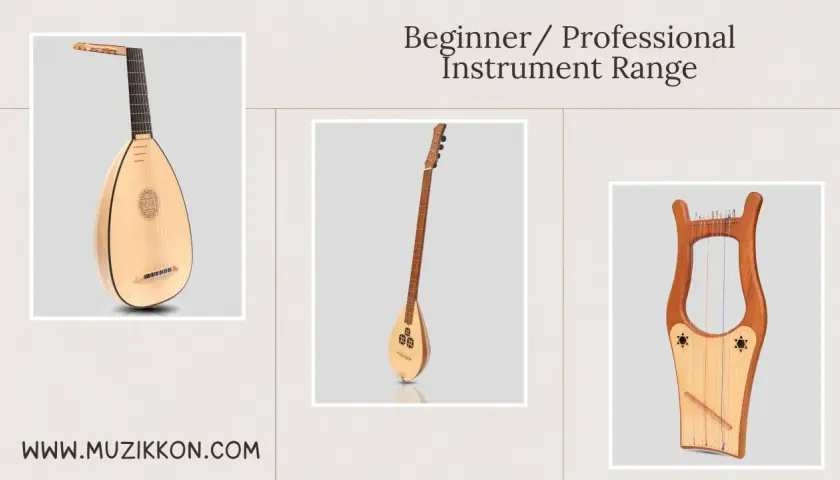 Luth, saz et lyre, trois magnifiques instruments à cordes pour tous les musiciens.