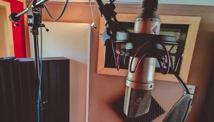 Microphone studio avec directivité cardioïde, prêt pour l'enregistrement d'une voix ou d'un instrument.