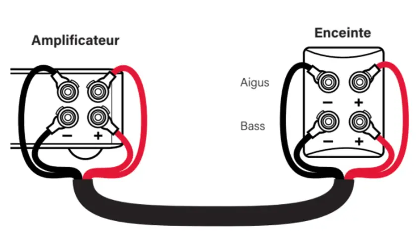 Schéma de bi-amplification : un amplificateur alimente séparément les aigus et les basses d'une enceinte.